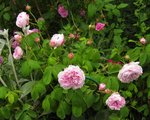 IMG_0398.JPG