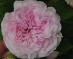 IMG_0577.JPG