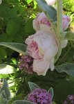 IMG_0688.JPG