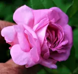 36003125_1627693120686469_6046919460021862400_o (2).webp