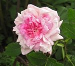 IMG_1255.JPG