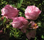 IMG_1400.JPG
