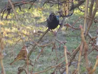 DSC00825.webp