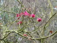 P1140949.JPG P1140949.JPG