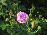 IMG_0757.JPG