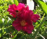 IMG_2098.JPG