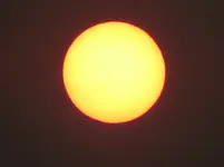 IMG_1215 v (2).JPG