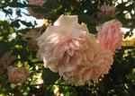 IMG_0741.JPG