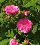 IMG_0044.JPG