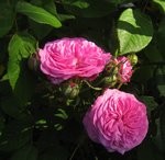 IMG_0126.JPG