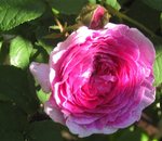 IMG_1219.JPG