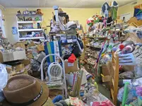 IMG_5772 v (2).webp
