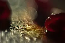 0M3A3876.webp