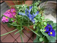 c030.webp