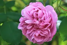 IMG_5805.JPG