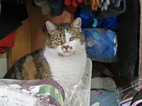 IMG_5777 v (2).webp
