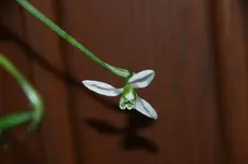 DSC08659.webp