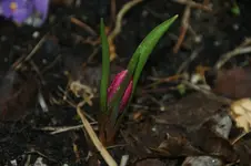 DSC08665.JPG