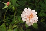 IMG_2124.JPG