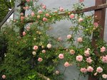 IMG_0024.JPG