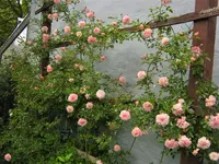 IMG_0024.webp