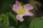 DSC07701.JPG