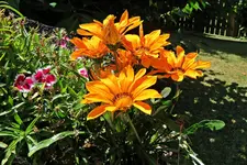 IMG_0537 v (2).webp