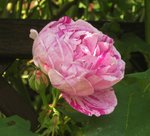 IMG_0064.JPG