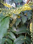 DSC05772.jpg