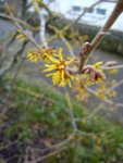 DSC05773.jpg