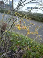DSC05774.webp