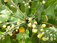 DSCN0810.webp