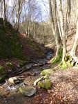 P1150233.JPG