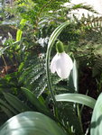20200216_145921.jpg