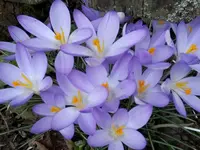 IMG_20200216_164647.webp