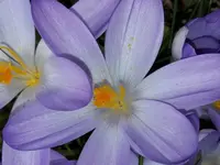 IMG_20200216_164703.webp