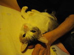 IMGP8623.JPG