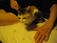 IMGP8619.webp