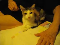 IMGP8620.webp