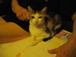 IMGP8622.JPG