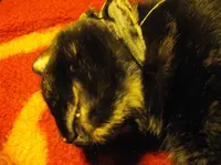 IMGP8625.webp