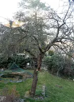 image002.webp