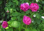 IMG_0674.JPG