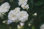 IMG_4755.JPG
