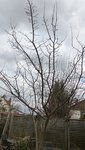P1210002.JPG