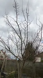 P1210002.webp