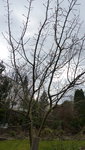 P1210003.JPG