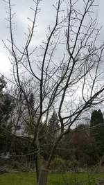 P1210003.webp