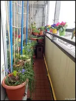 c040.webp