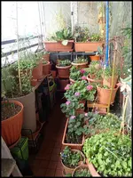 c041.webp
